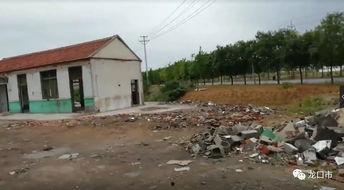 爆料龙口违建事件最新,揭秘背后真相与整治行动进展